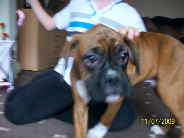 Buster_12
