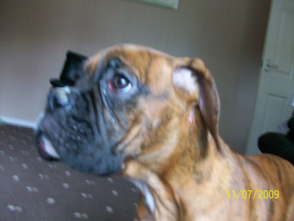Buster_13