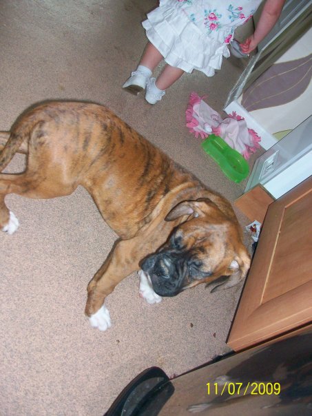 Buster_14