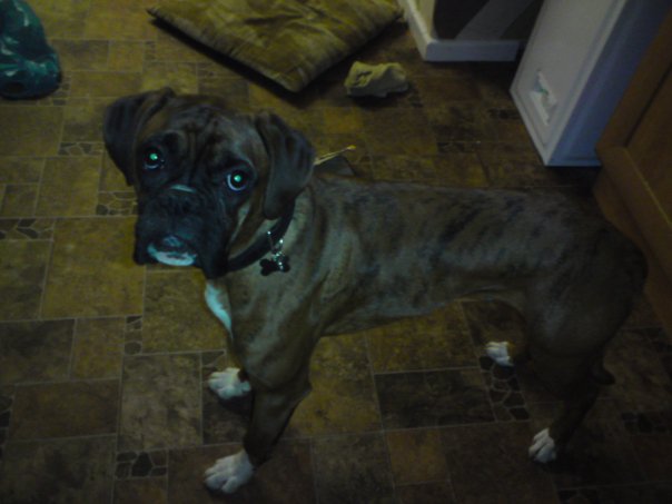 Buster_18