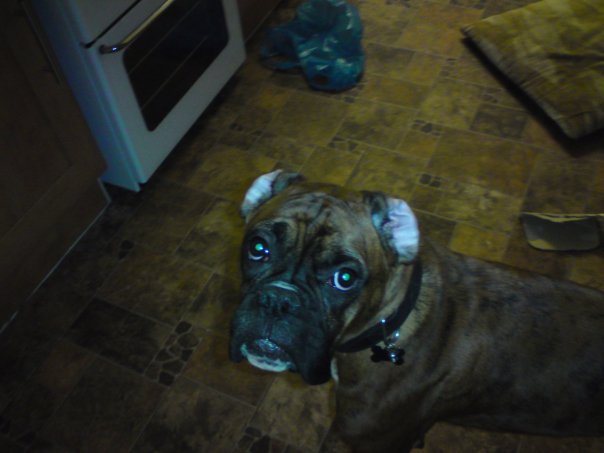 Buster_19