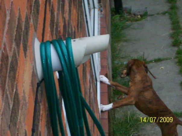 Buster_22