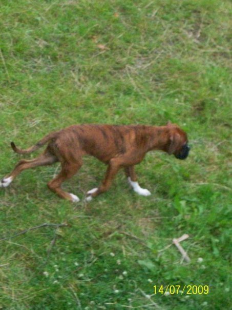 Buster_31