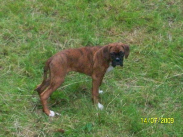 Buster_4