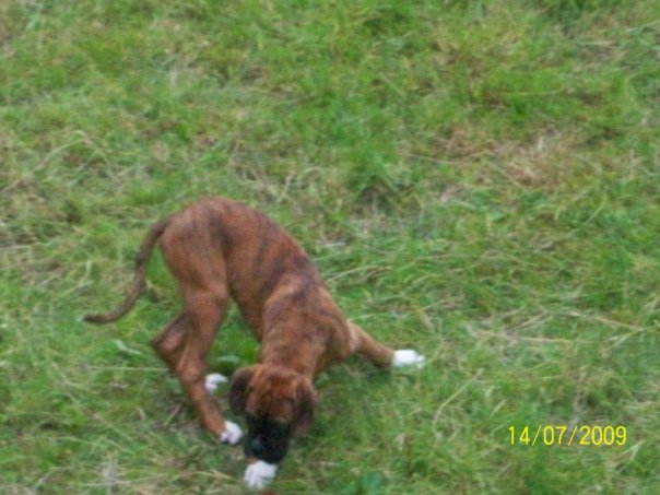 Buster_6