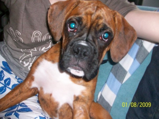Buster_9