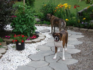 buster_and_lady