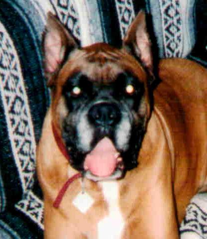 buster_camping_6_yrs