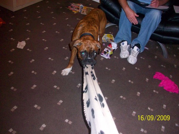 Buster_Playing