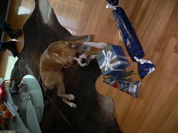 Busters 1st x-mas!!!