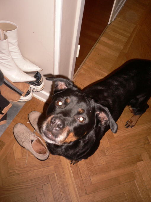 Busters "cousin" Chebazz