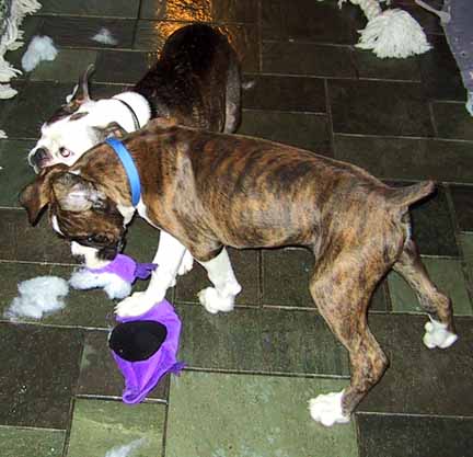 Buster's first "kill"