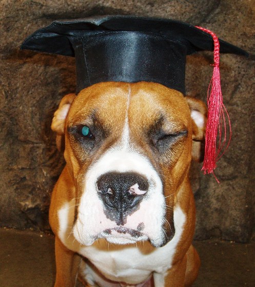Buster's graduation