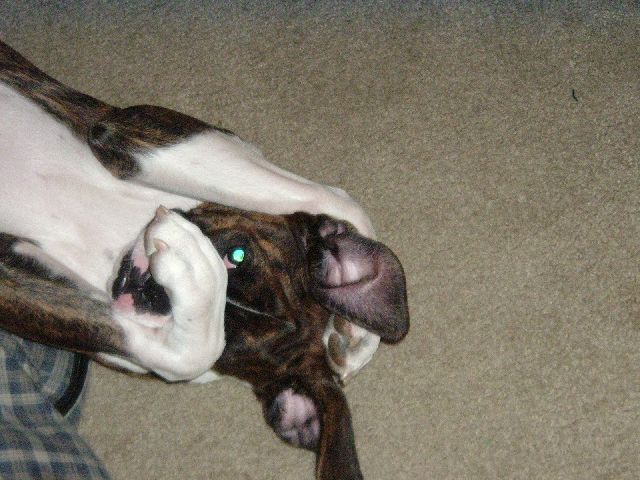 But I don't want to eat my food Mom!!!
