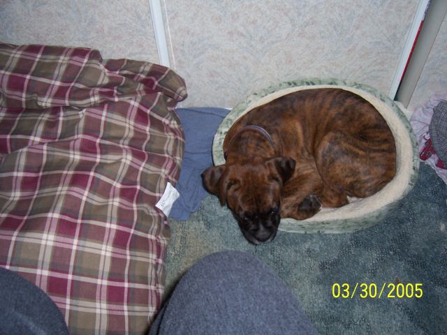 But I like my old bed