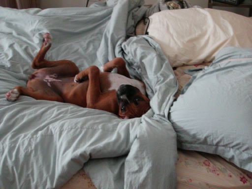 But, I'm soooo comfortable