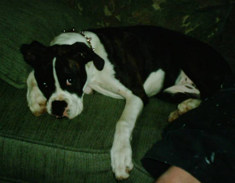 But mom I'm tired...