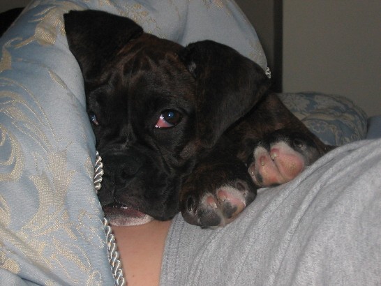 But mommy, you're so comfortable