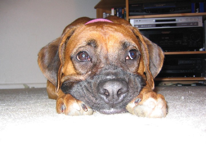 But WHY can't we go play?