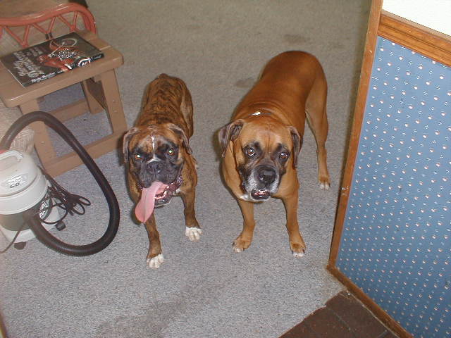 Butch & Maggie
