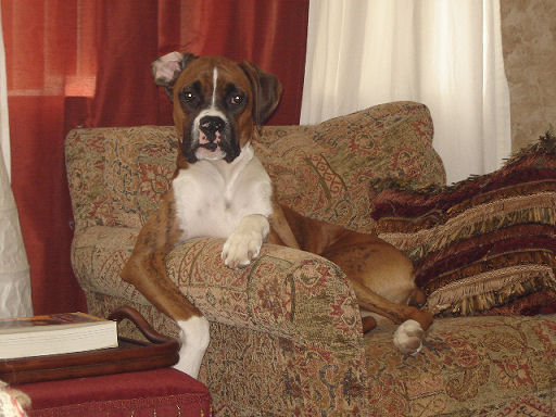 BUTCHCHILLIN