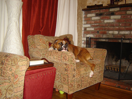 Butch's favorite chair
