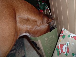Buttercups' present