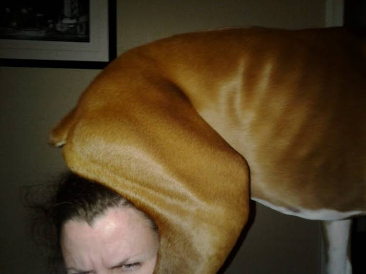 Butthead