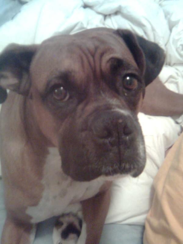 buub