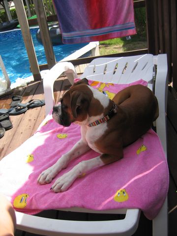 By the pool