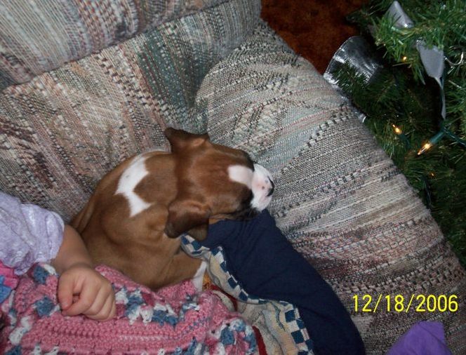 C.J. (8 wks)