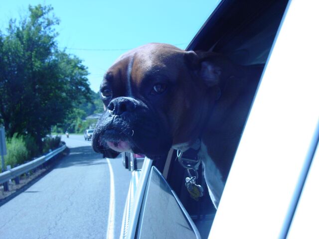 Caching the Breeze