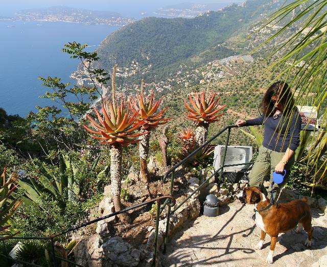 Cacti at Eze