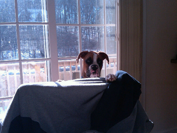 caesar