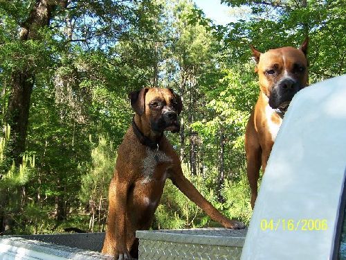 Cain and Breezie
