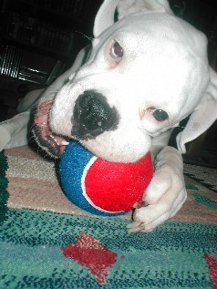 Cain and his ball