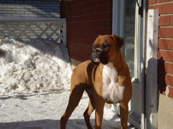 cain3