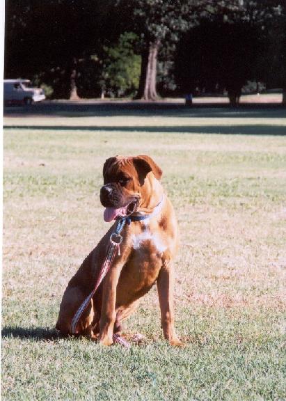 Caleb at the park