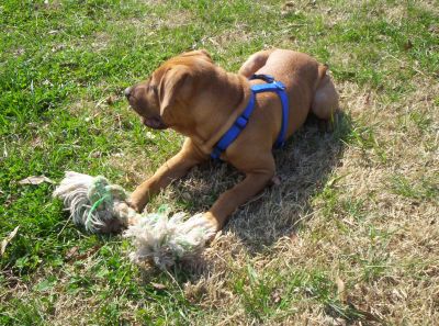 Cali at the park- March 16, 2006
