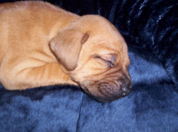 Cali's nap