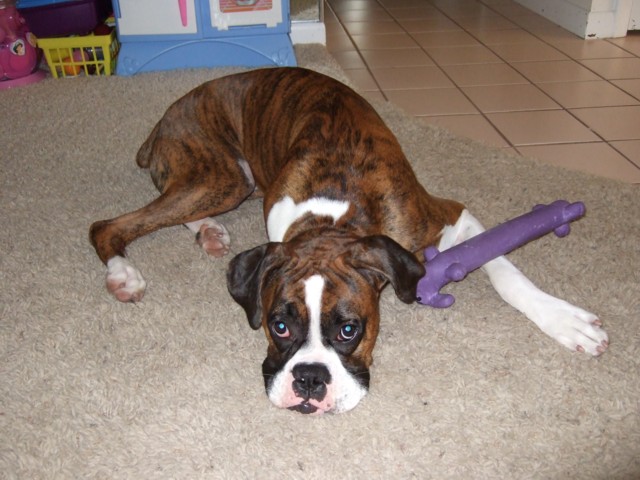 Cam-mee and her favorite toy