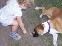 Camdynn giving Roxie a cookie