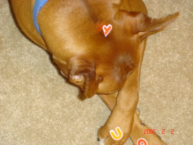 Camera Shy