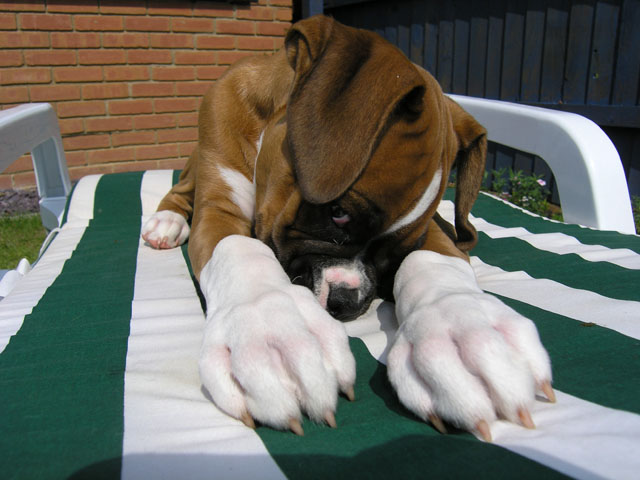 Camera Shy
