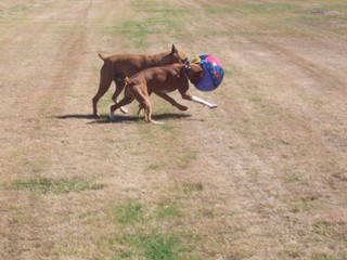 Cami and Darby