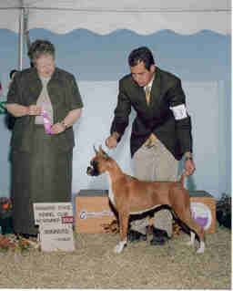 Cami Winning Best of Winners 2006