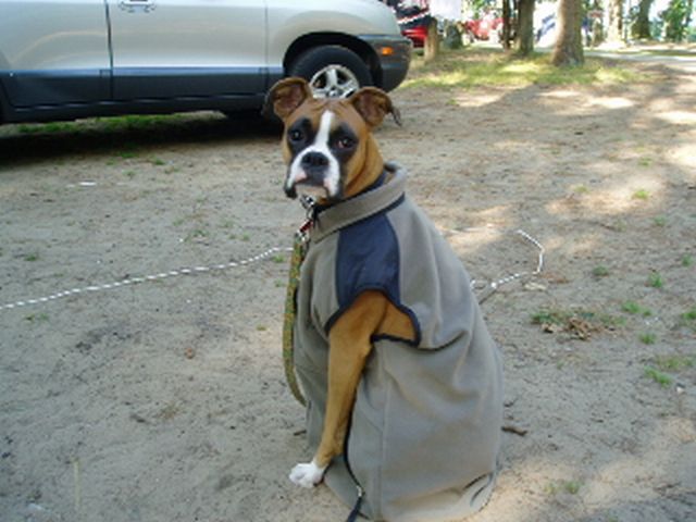 Campin' Girl