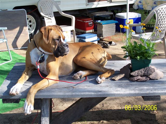Camping '06