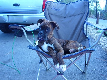 Camping