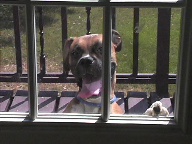 can i come in?